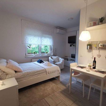 Studio Joy Ljubljana Extérieur photo